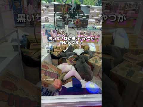宇宙一デカいクレーンゲームやってみた　#クレーンゲーム #ゲームセンター #ufoキャッチャー