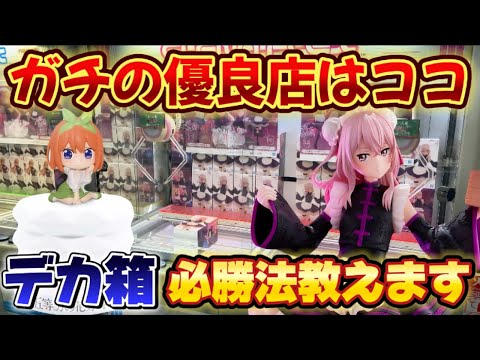 【クレーンゲーム】 新作プライズフィギュアを初日攻略したら驚きの結果に！！ その着せ替え人気は恋をする 【キャロム坂戸】