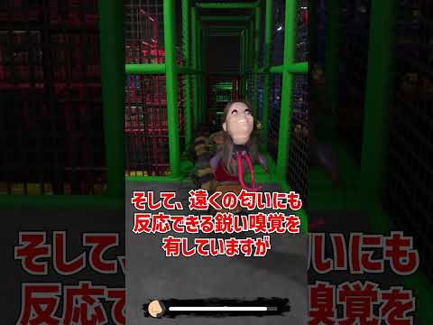 ネクロピードを再びざっくり解説【The Classrooms】【ホラゲ】 #Shorts