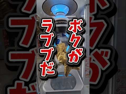 【ブチギレ】クレーンゲームでラブブに似た景品を取りまくる！ #ufoキャッチャー #ゲームセンター #ラブブ