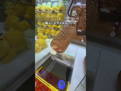 このゲーセンやばい　#クレーンゲーム #ゲームセンター #ufoキャッチャー