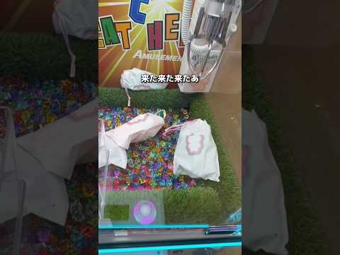 ゲーセンにあるラブブって取れるの？#クレーンゲーム #ゲームセンター #ufoキャッチャー #ラブブ