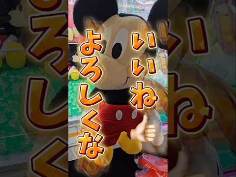 【目指せ3万‪👍🏻】クレーンゲームのコツを使ってディズニー景品を取りまくる！ #UFOキャッチャー #ディズニー #クレーンゲーム