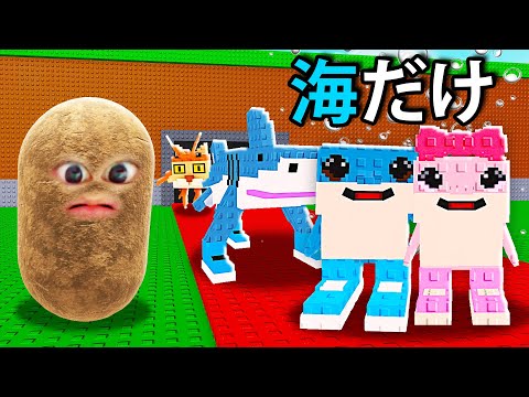 海にいるブレインロットだけを盗んで100兆円稼ぐロブロックス (Roblox)