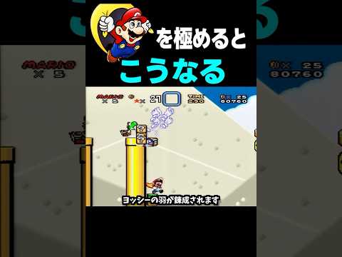 昔のマリオの難し過ぎたコースも極めるとこうなるww