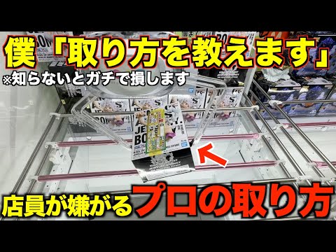 【クレーンゲーム】絶対に知らないと損する取り方解説!5000円突っ込んだ結果が想像以上だった…
