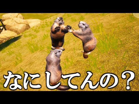 75円で買った「マーモットが殴り合うだけのゲーム」が酷すぎて笑ったｗｗｗ