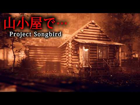 【ホラー】アパラチアの奥深くにある山小屋を舞台にしたホラーゲーム『 Project Songbird 』【Vキャシー/Vtuber】実況