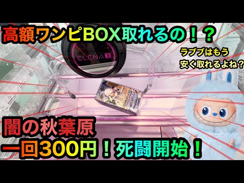 【クレーンゲーム】闇の秋葉原へ潜入！高額ワンピカBOX橋渡し攻略ゲットしたいが！？【ゲームセンター】高額ポケモンぬいぐるみも！