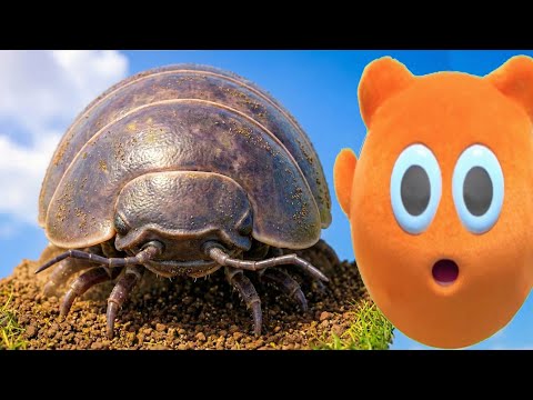 ダンゴムシに生まれ変わるゲームがやばい【 Isopod 】