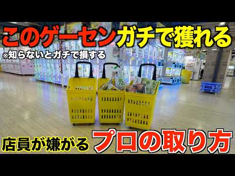 【クレーンゲーム】知らないとガチで損するプロの取り方!今までの取り方ではダメ!ドンキの上にあるゲーセンが取れすぎる!