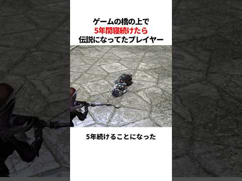5年間橋の上で寝続けたら伝説になってたプレイヤー