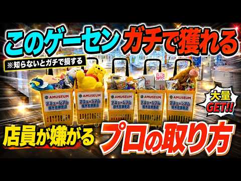 【クレーンゲーム】知らないとガチで損するプロの取り方！栃木で一番獲れるゲーセンがオープンした！このゲーセンがガチで獲れる！今一番オススメの店舗はここ！！