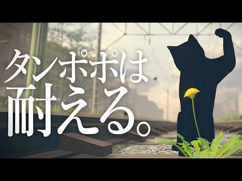 タンポポになって強く育つゲーム｜タンポポは耐える。