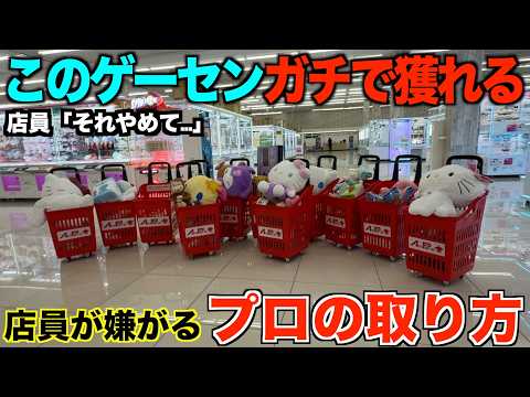 【クレーンゲーム】知らないとガチで損するプロの取り方!今までの取り方ではダメ!四国に新しくオープンするゲーセンが爆誕!全員ここ集合