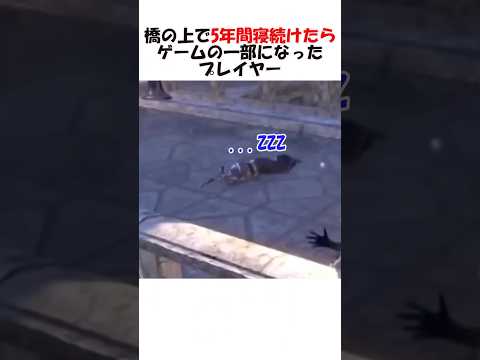 5年間ゲームの橋の上で寝てNPCになったプレイヤー
