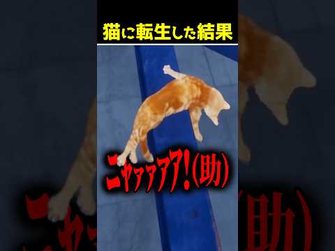ネコ1日目　#ピロ #ゲーム実況 #ゲーム実況者 #OnlyWayisDown