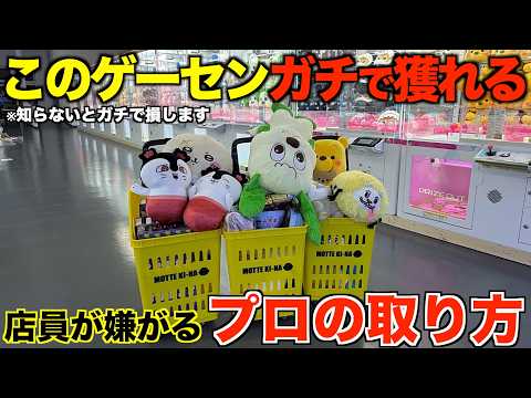 【クレーンゲーム】知らないとガチで損するプロの取り方！フックはこうやって取れ！新しく山梨でオープンするゲーセンがガチでやばかった！